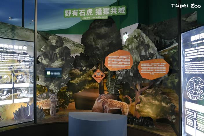 故事館以訴說動物生命故事的角度娓娓道來歷年動物園的保育行動,也和園慶主軸精神的Devoting to Rewilding相互呼應。