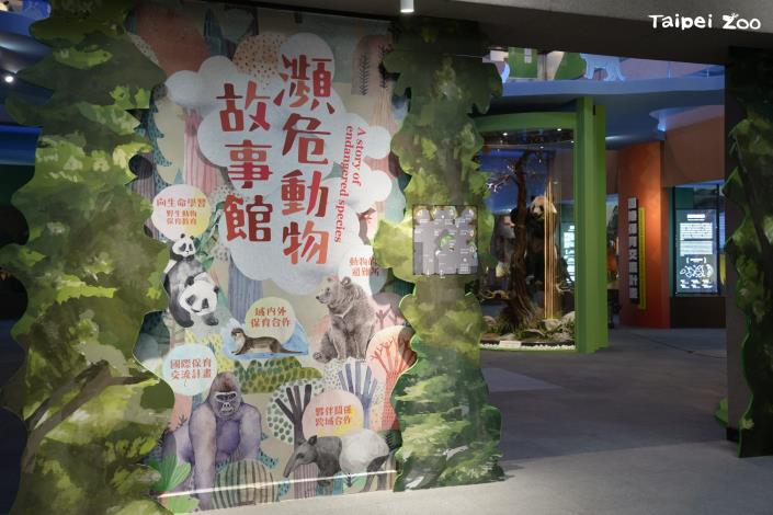 瀕危動物故事館分享翻轉野生動物瀕危處境的故事,期待可以讓民眾意識到地球的繽紛物種和健全生態系與我們的關係,邀請大家為野生動物保育採取具體行動。