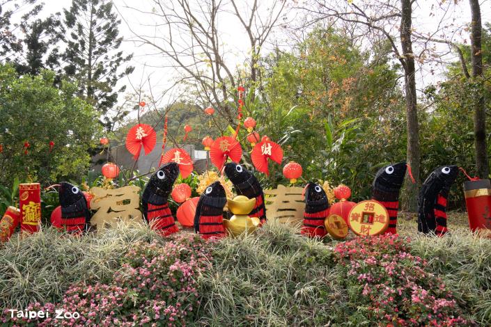 最近園區花圃容易被遊客誤認的「仿花園鰻」裝飾就是以赤腹游蛇發想