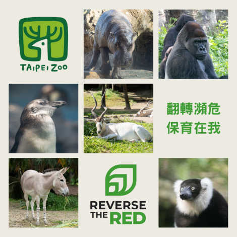 Reverse the Red翻轉物種瀕危趨勢行動-非洲動物