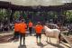 4月每週日上午11點在動物行為學院有動物覓食超能力課程