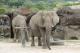 動物園在4月22日舉辦闖關活動，響應世界地球日