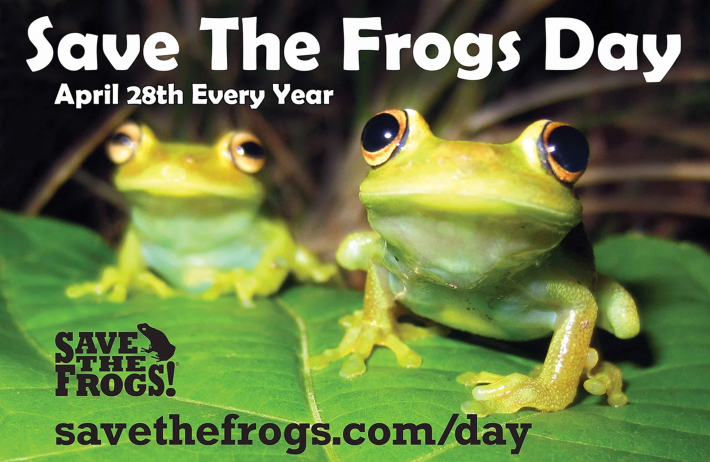 拯救青蛙日Save The Frogs Day訂於每年4月28日，呼籲保護兩棲動物及其環境