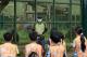 小小動物保育員體驗營讓學生，有機會深入動物保育員的日常