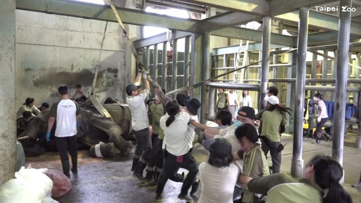 醫療照養團隊召集數十人嘗試協助美代重新站起