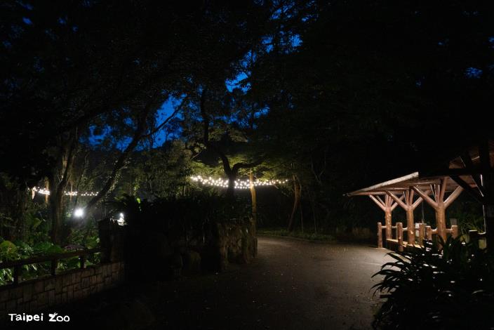 今年動物園將首次在夜間開放沙漠澳洲動物區，歡迎民眾帶著點心、自備野餐墊席地而坐來場悠閒的下午茶或「夜FUN野餐趣」