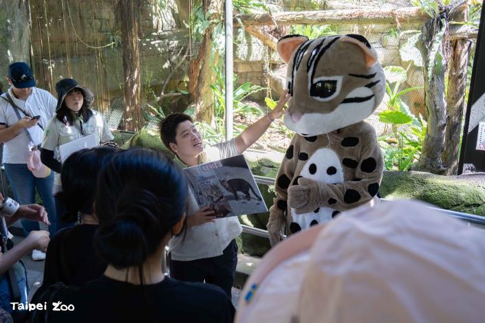 動物園希望藉由保育教育的推廣讓更多民眾看見石虎的生存現況