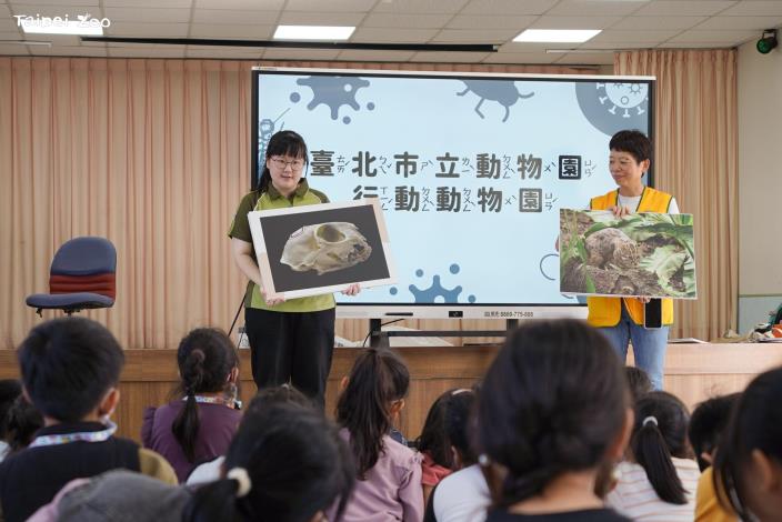 動物牙齒大不同，本次主題之一以動物頭骨介紹動物食性的不同。