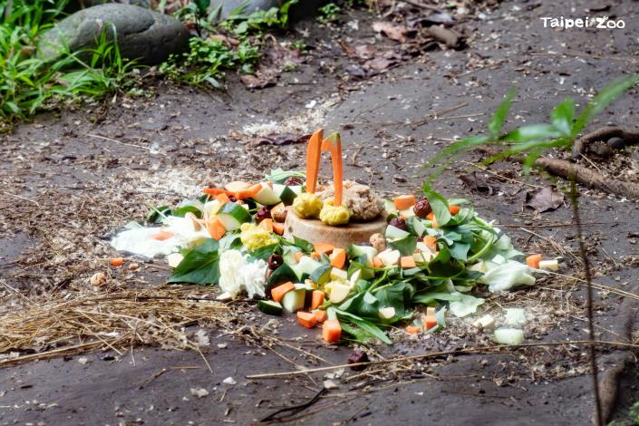 保育員以冬季當令蔬果製作行為豐富化蛋糕。