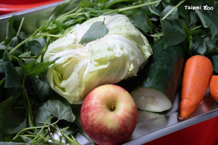 空心菜、高麗菜、大黃瓜等蔬菜是這次蛋糕的底座。