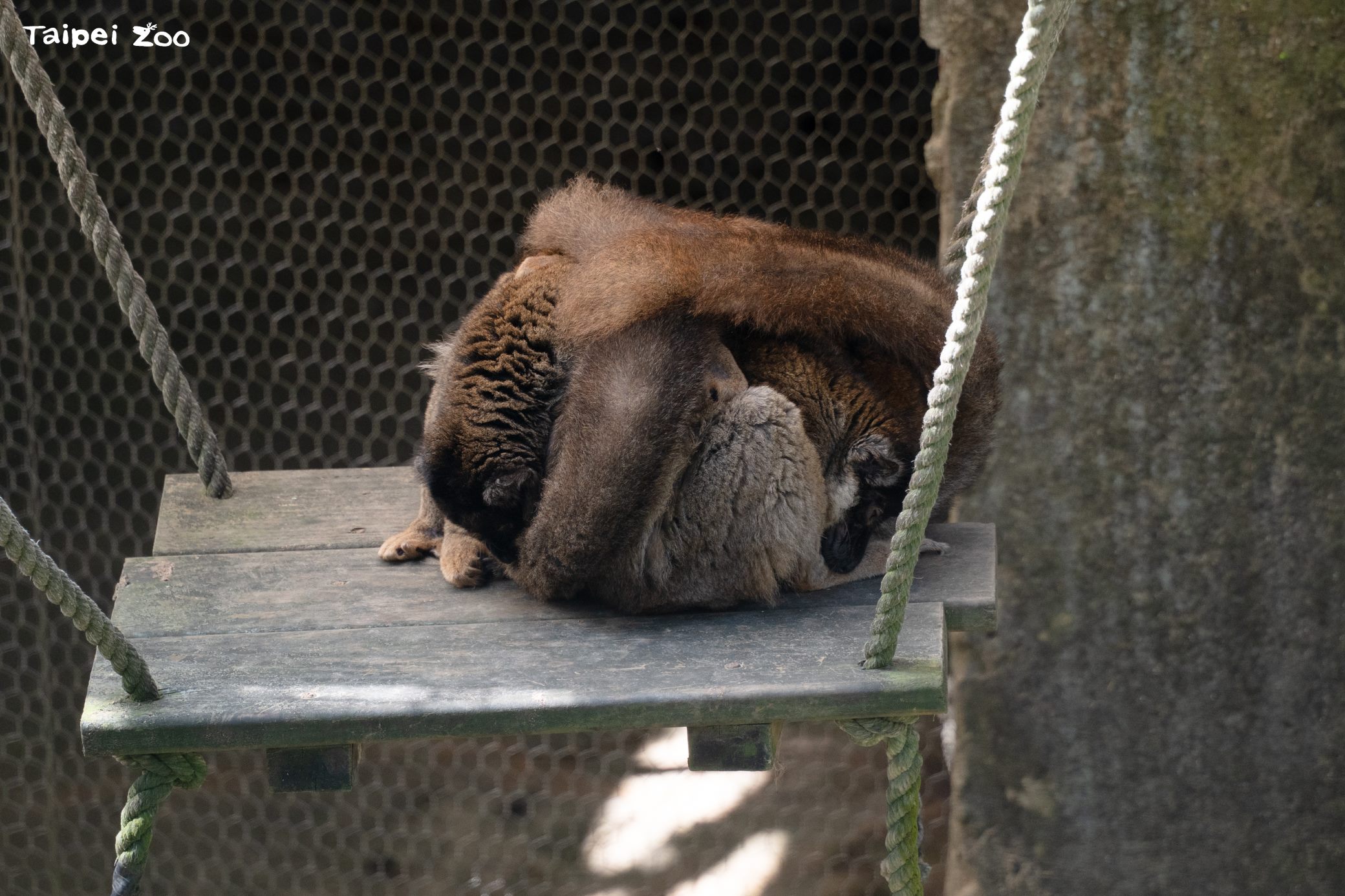 圖片來源：臺北市政府