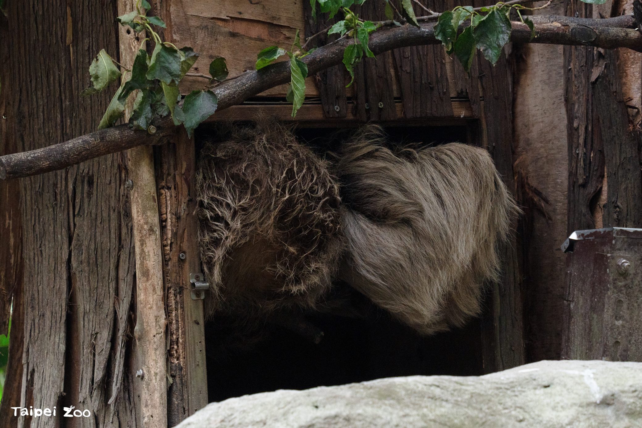 圖片來源：臺北市政府