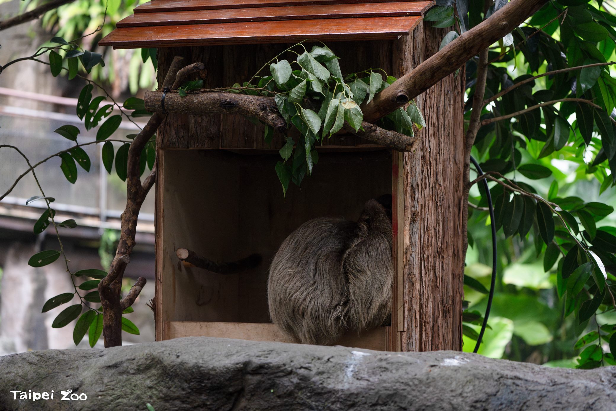 圖片來源：臺北市政府