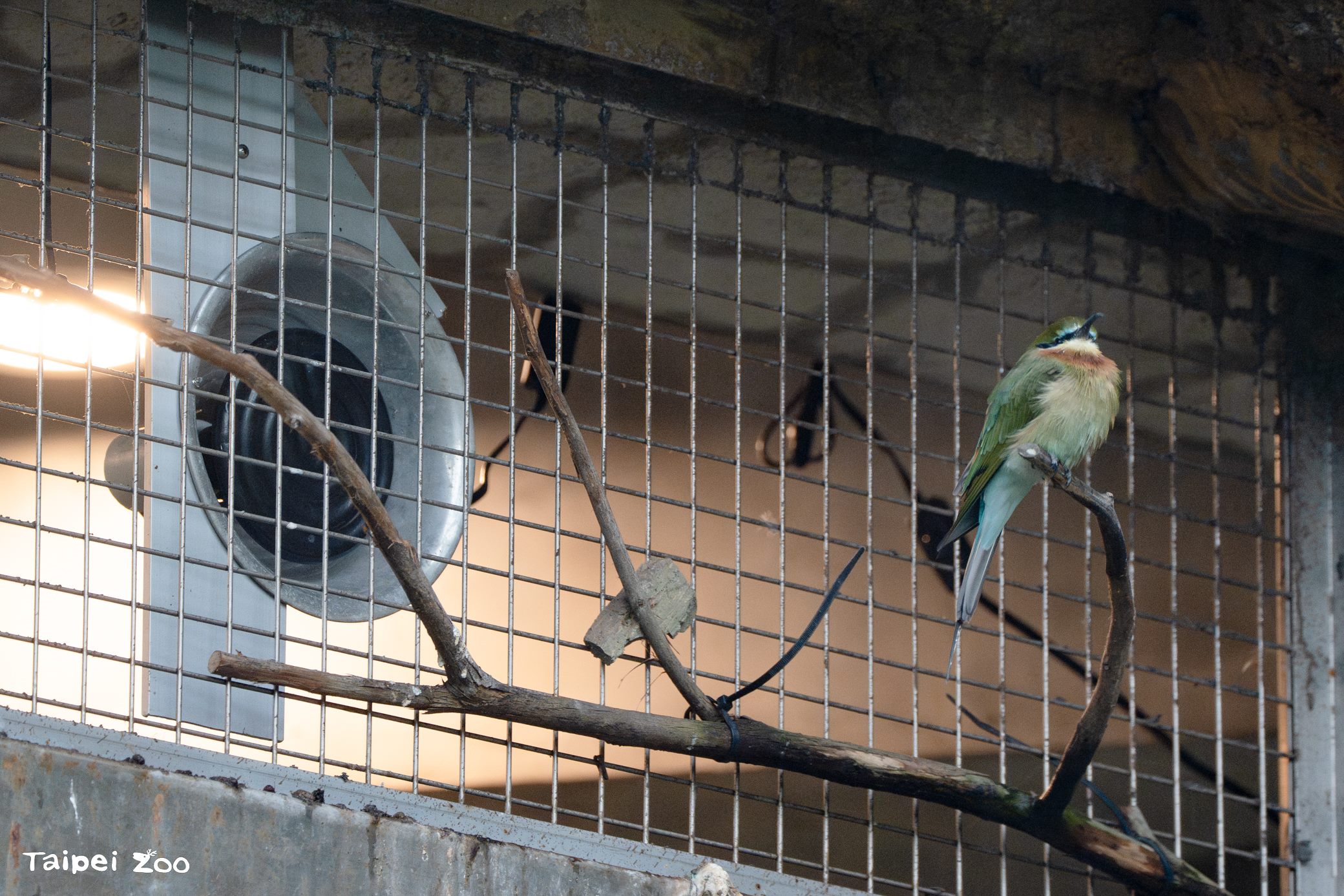 圖片來源：臺北市政府