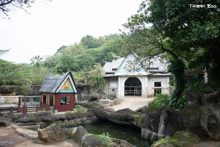 熱帶雨林區的亞洲象場地等區域將於今年逐步更新，以提升動物福祉和參觀環境。