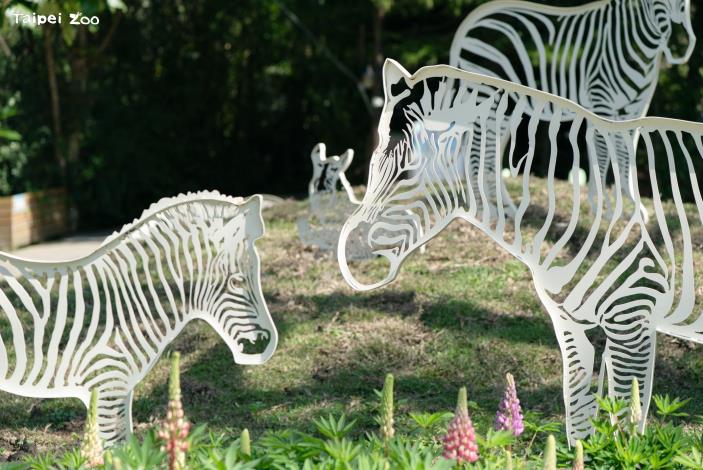 鳥園車站廣場的斑馬山丘造景有魯冰花和繡球花相互點綴。