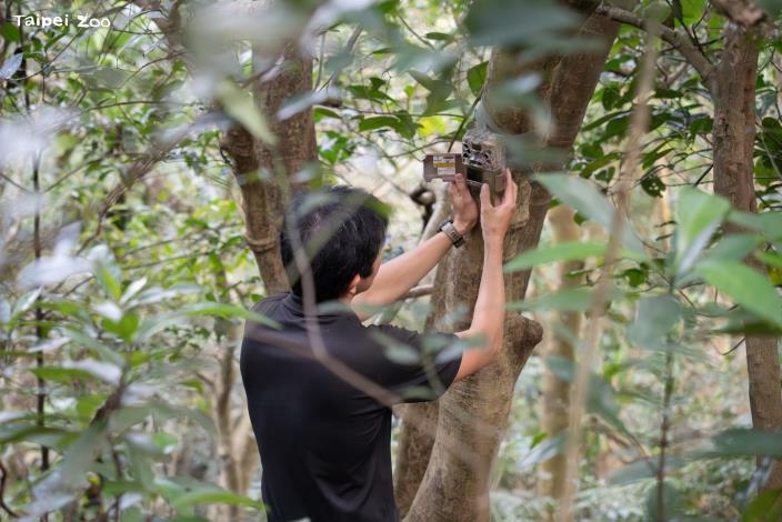自動照相機可以用來監測野生動物活動，累積研究資料。