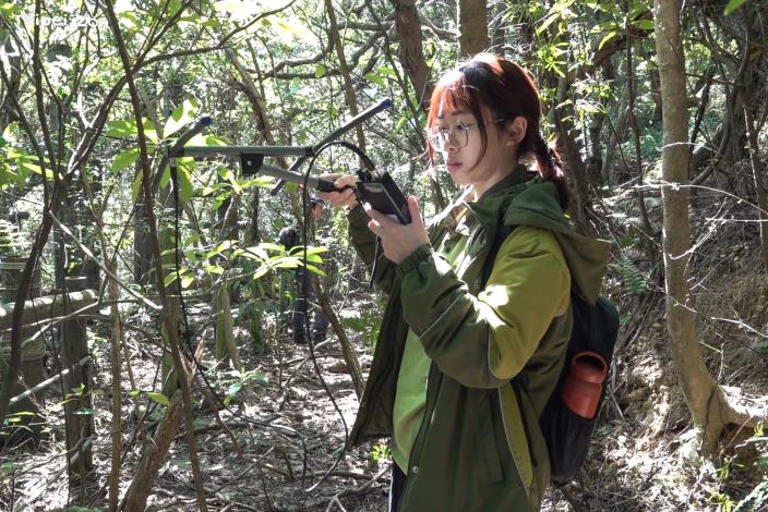 追蹤團隊會進入山林，利用追蹤器觀測野放穿山甲的位置和狀態。