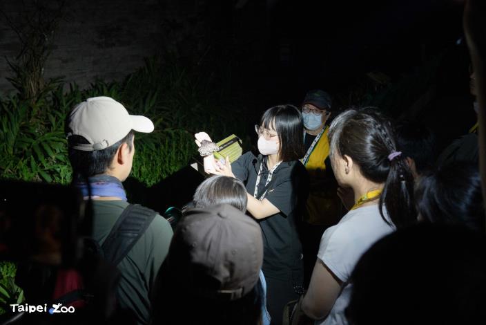 「蟲蟲探索谷」長期低度干擾維持野生動物友善的自然環境，除了螢火蟲也能觀察到其他生物