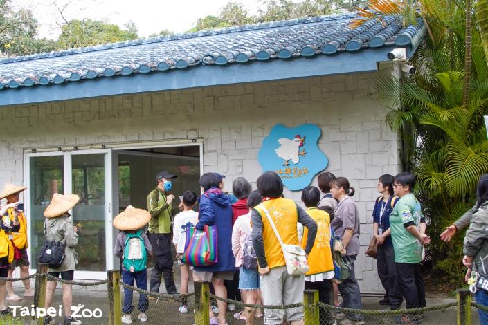 在快樂雞莊中，學員們觀察平飼雞自在活動的模樣，體會友善生產對動物福祉的重要性。.JPG