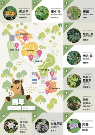 馬年植物地圖