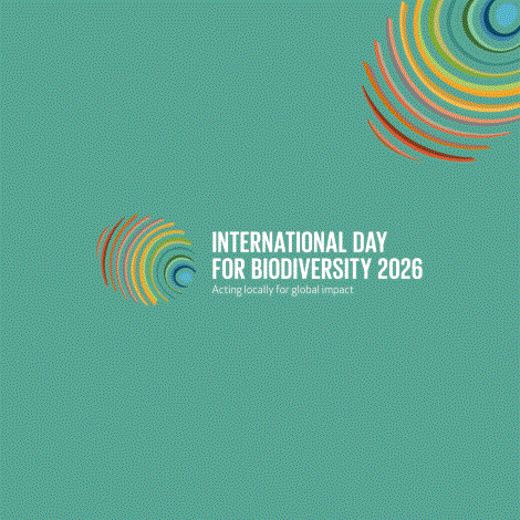 International Day for Biodiversity 2026
