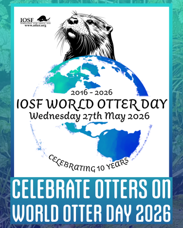 世界水獺日World Otter Day（圖片來源International Otter Survival Fund）