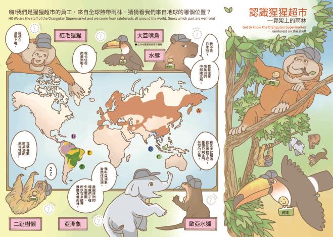 認識猩猩超市-貨架上的雨林學習單(正面)