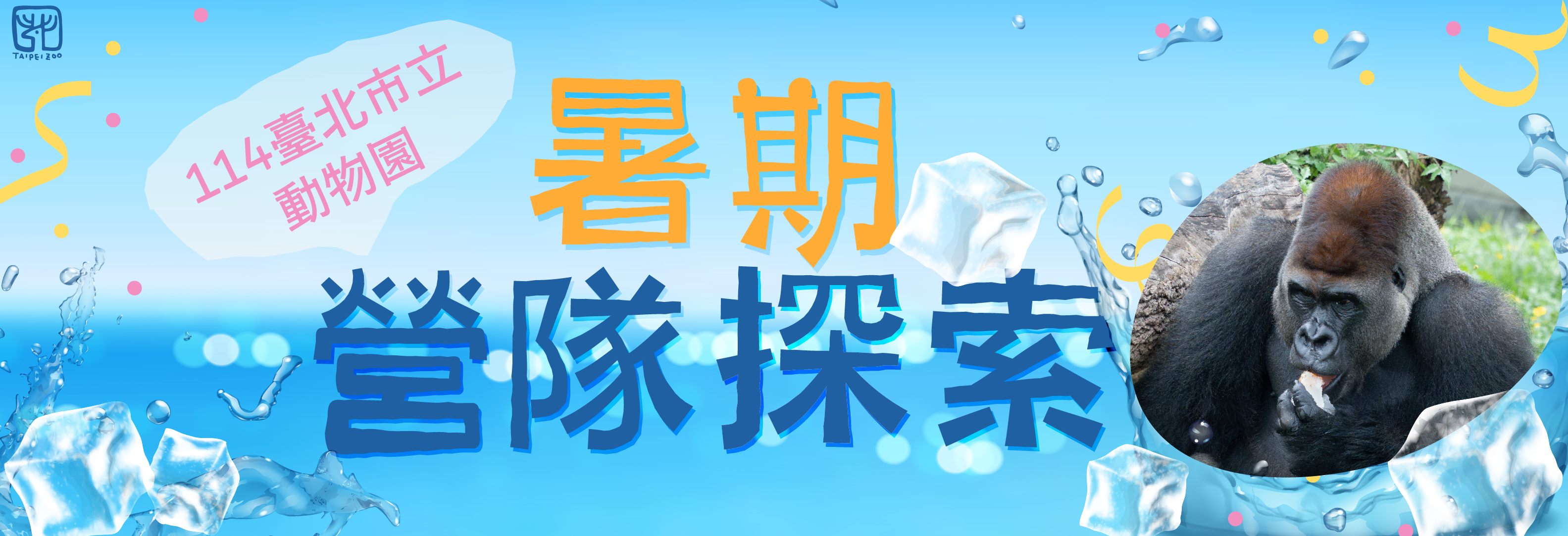 2025年暑期營隊