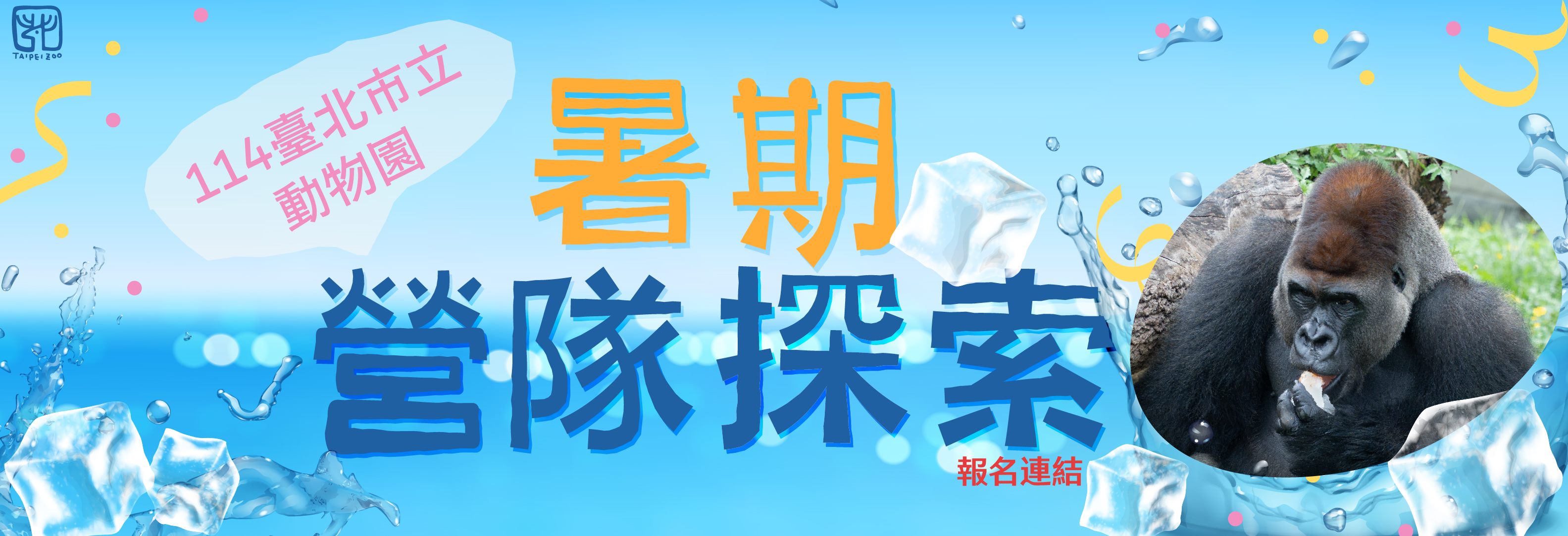 2025年暑期營隊