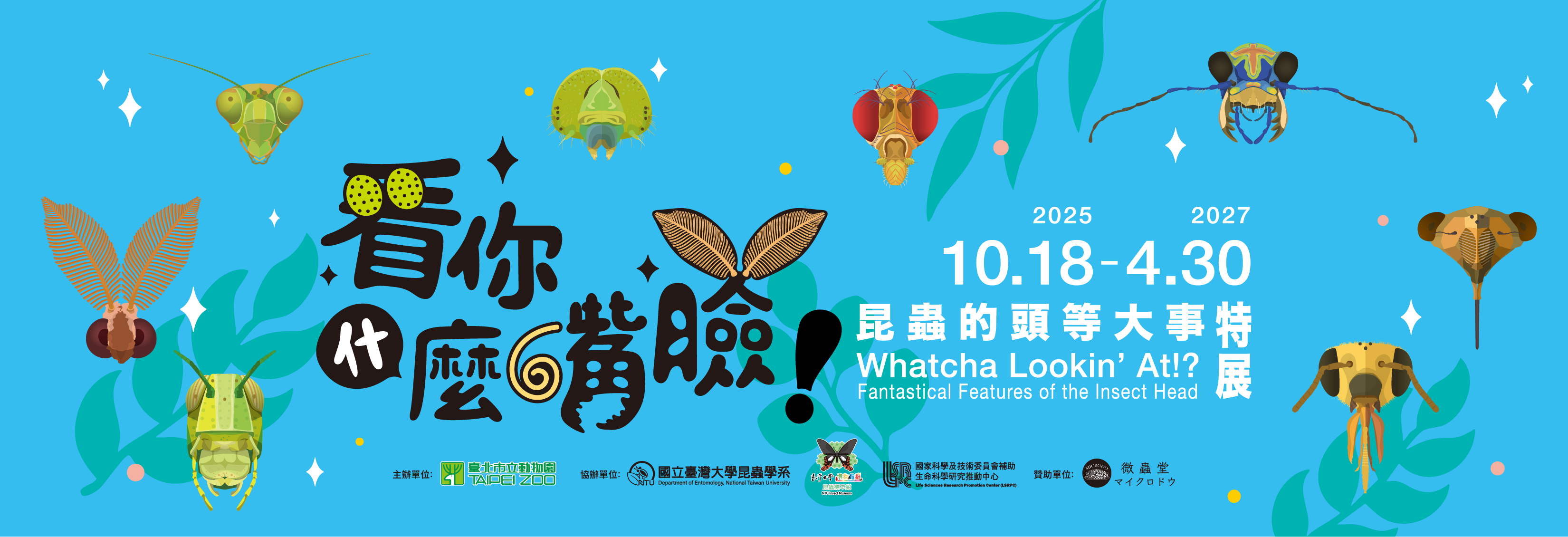 看你什麼嘴臉？昆蟲頭等大事特展