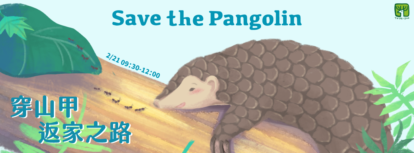 翻轉瀕危！Save the Pangolin「返家之路」世界穿山甲日活動
