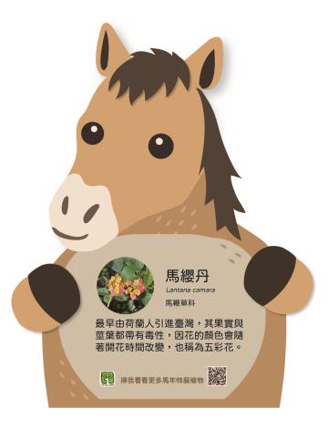 馬年特展植物解說牌示意圖