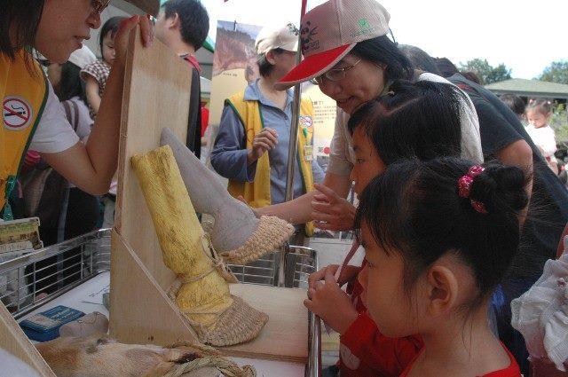 臺北動物園園慶駐站活動，小朋友透過操作活動體驗野生動物醫療專業
