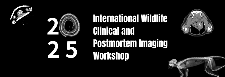 2025 International Wildlife Clinical and Postmortem Imaging Workshop