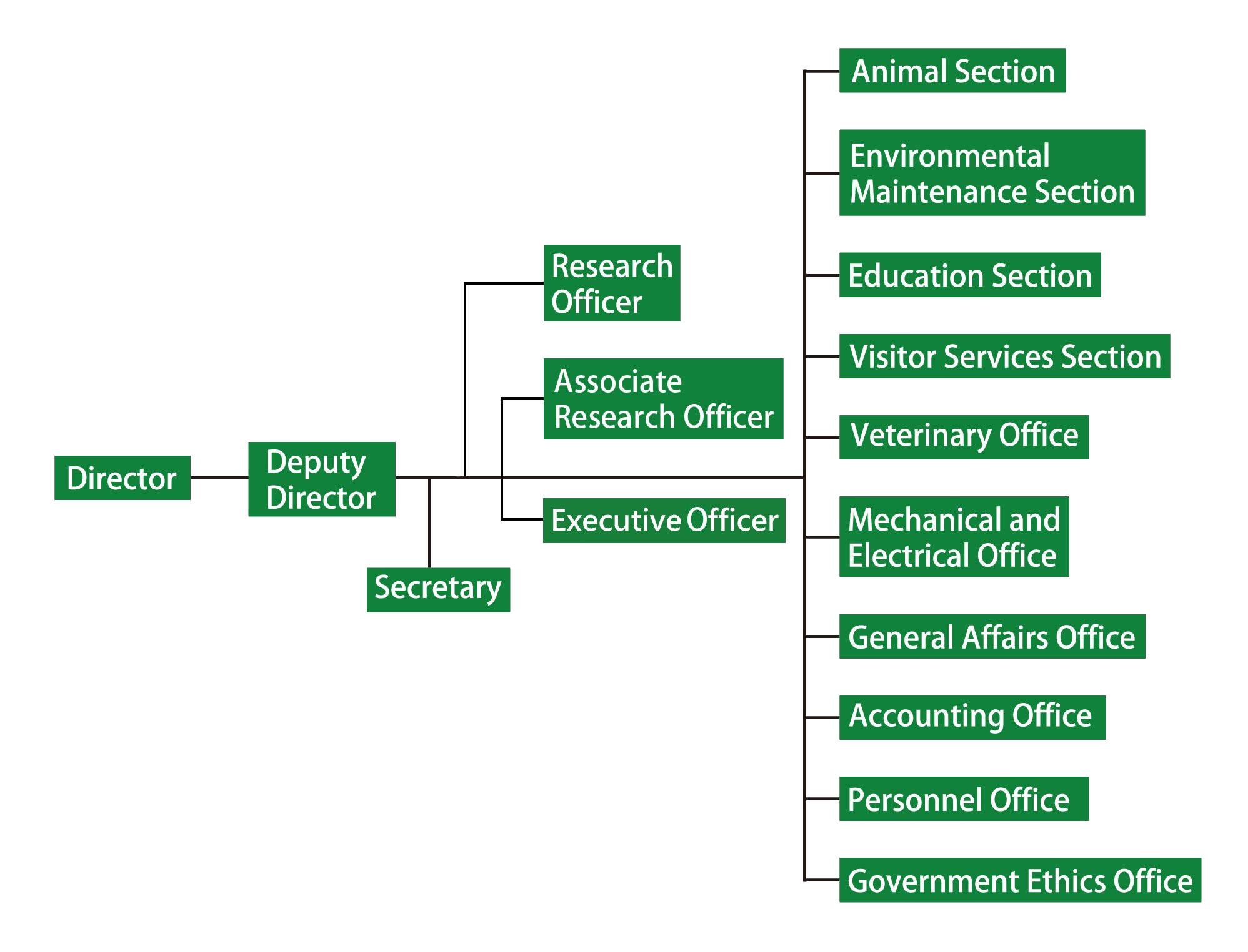 Taipei Zoo Organizational Structure