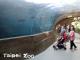 Impressive river view tunnel. (photo by Ken C.N. Chung)