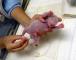 Gender characteristics are not obvious moments after cubs are born.
