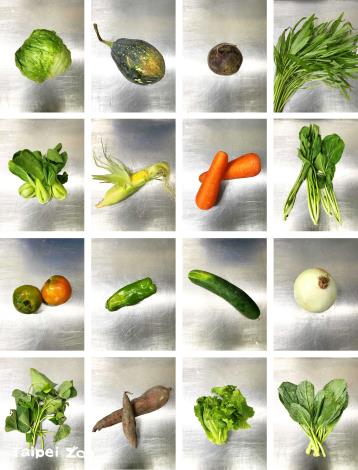 The formula recipe generally consists of four groups vegetables, fruits, plants, and dry food