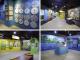This exhibition highlights many dragonfly specimens from Taiwan and the world