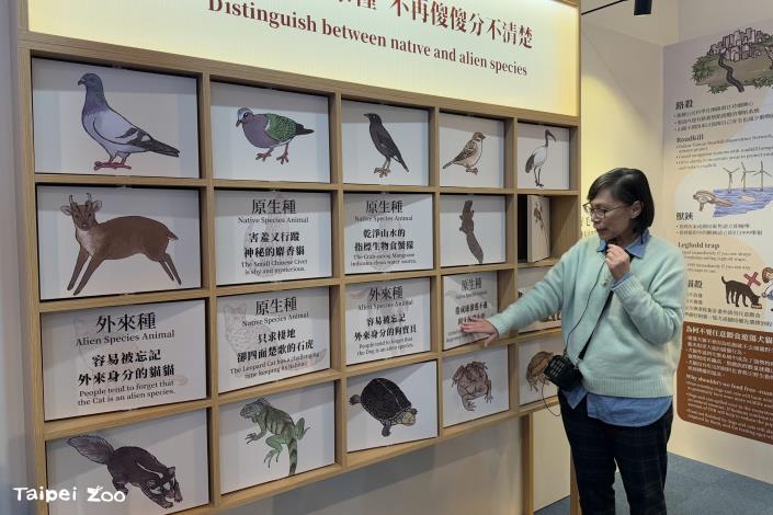 Taipei Zoo invites the curator to explain the concept and planning behind the special exhibition.