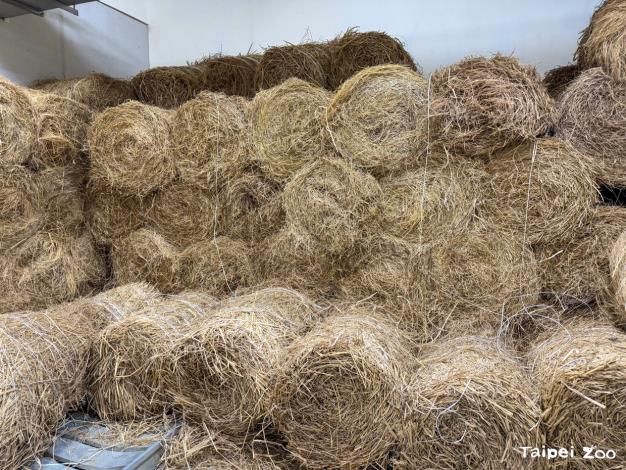 The zoo provides hay bedding to keep the animals warm.
