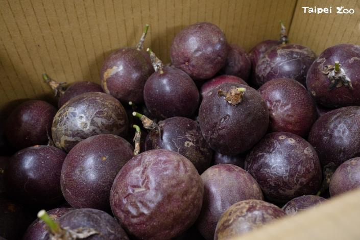 Recently, seasonal ingredients like yam beans, chestnuts, and passion fruit have been appearing one after another.