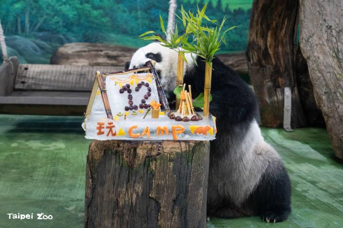 Next on the menu for Yuan Zai was a camping tent pole made from sugarcane