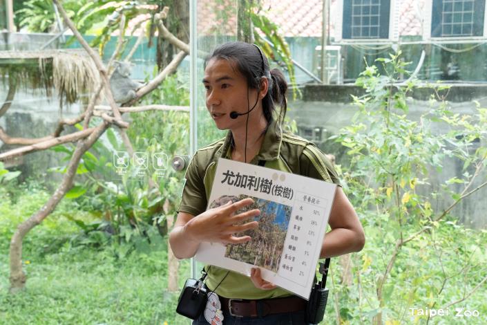 Every Wednesday from 11:00 to 11:25 AM, the zoo offers a Keeper’s Talk at the Koala House, where caretakers share insights into the koalas' ecological habits and behaviors.