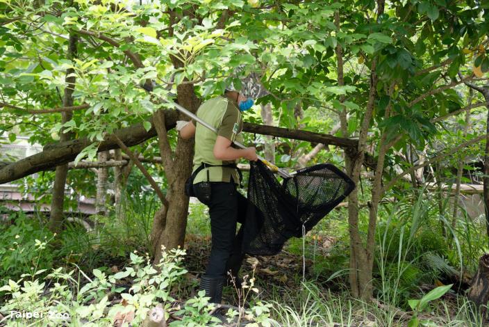 Upon discovering her escape, keepers immediately activated an emergency search protocol.