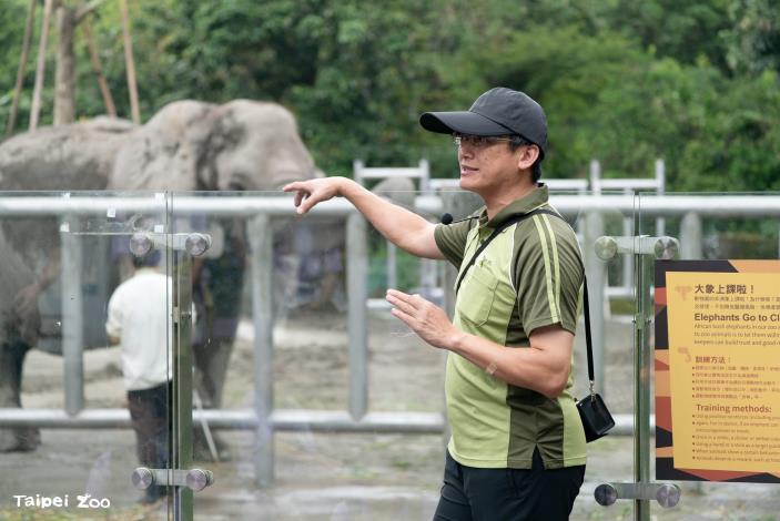 Every Friday in May and June, keepers will give talks introducing elephant training to the public.