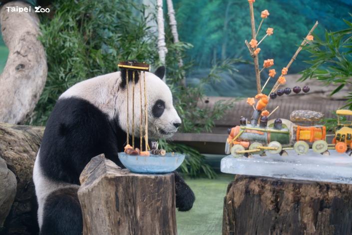 Yuan Yuan looks at the colorful "Fruit and Vegetable Train.