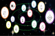 星座徽章13星座圖示意圖。