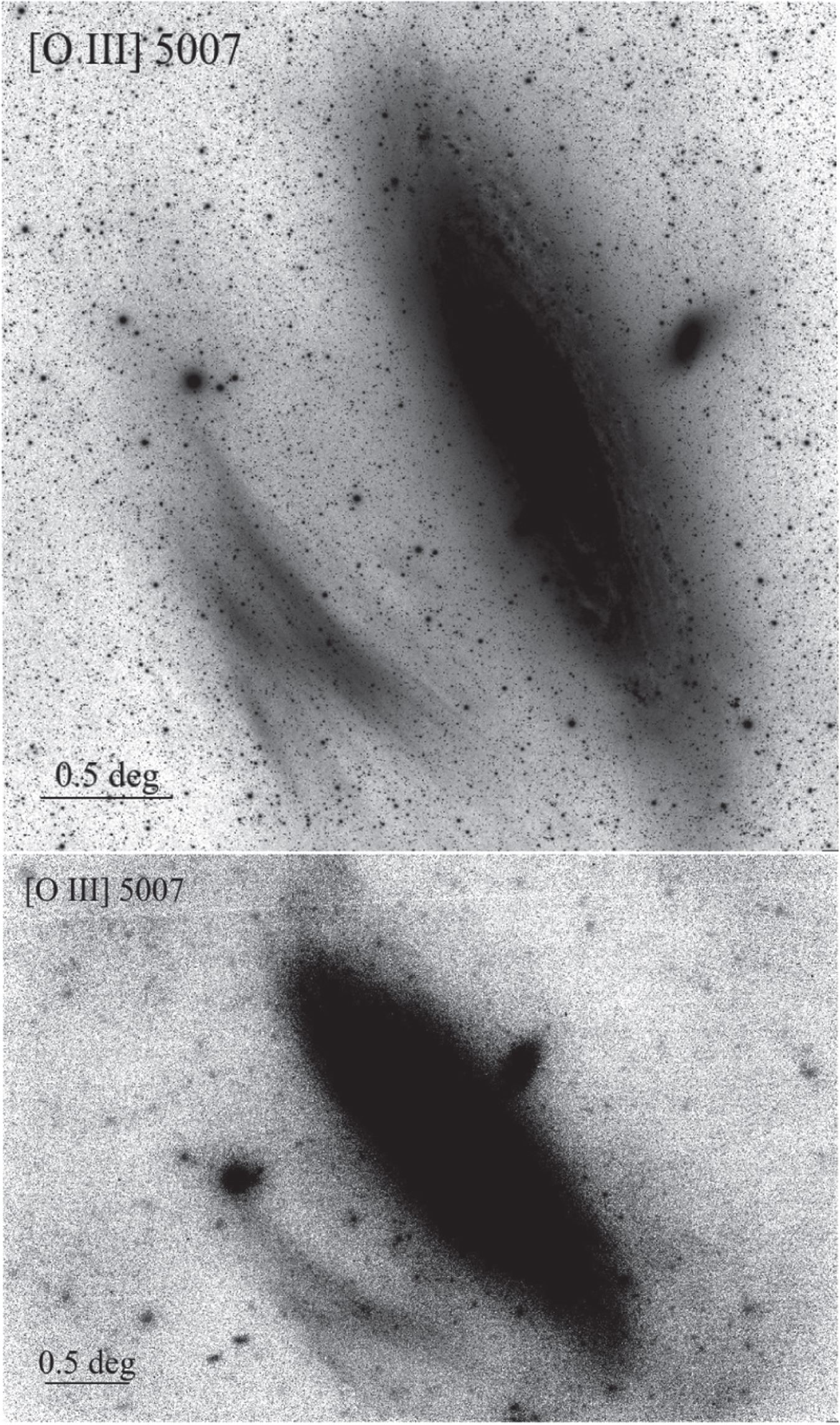 藉由不同地點、器材拍攝的影像確認星雲存在